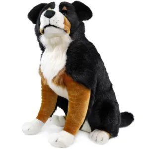 Bryson the Bernese Mountain Dog
