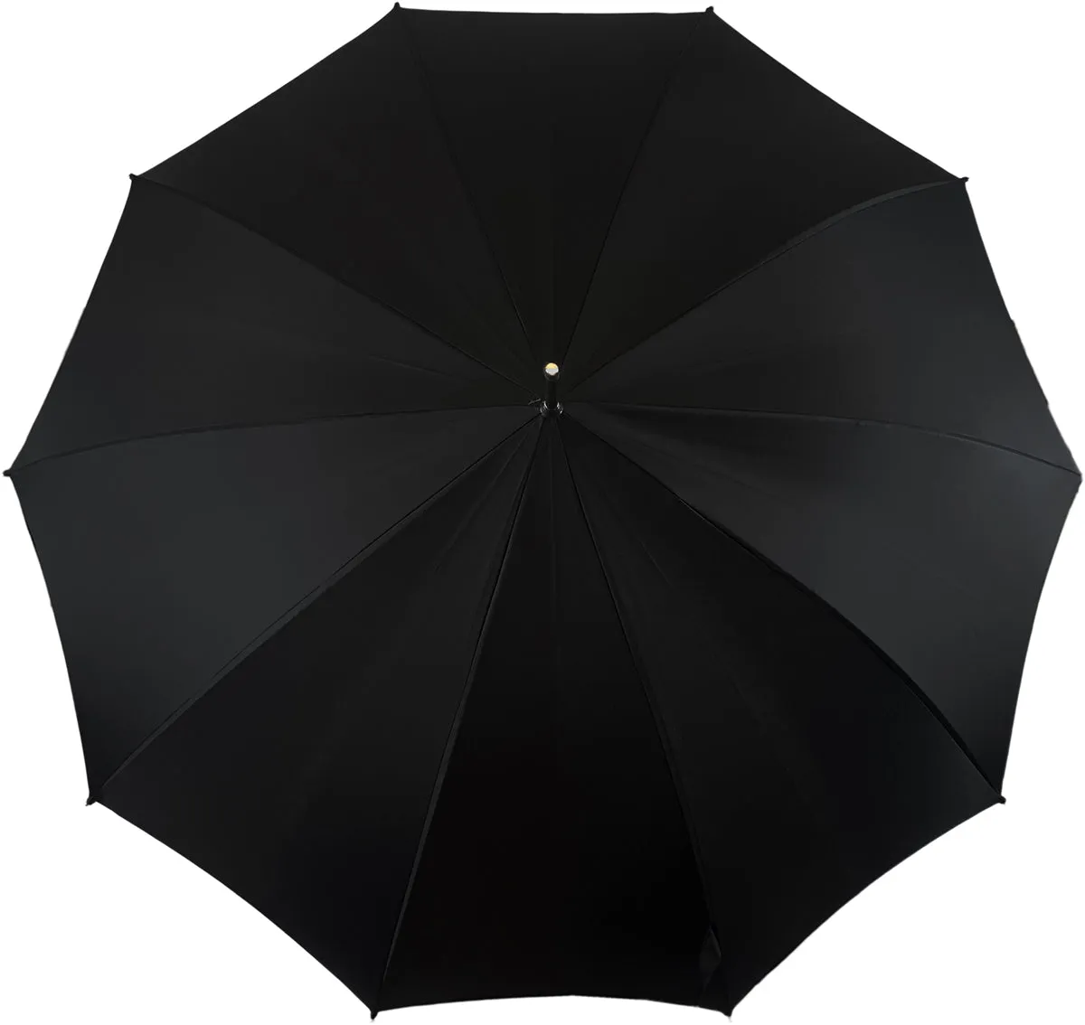 Fantastic Black umbrella for man with Silverplated Lion